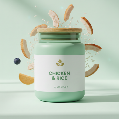 Mint Green Jar - Chicken & Rice